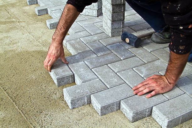 Best Local Driveway Pavers  in Fort Belknap Agency, MT